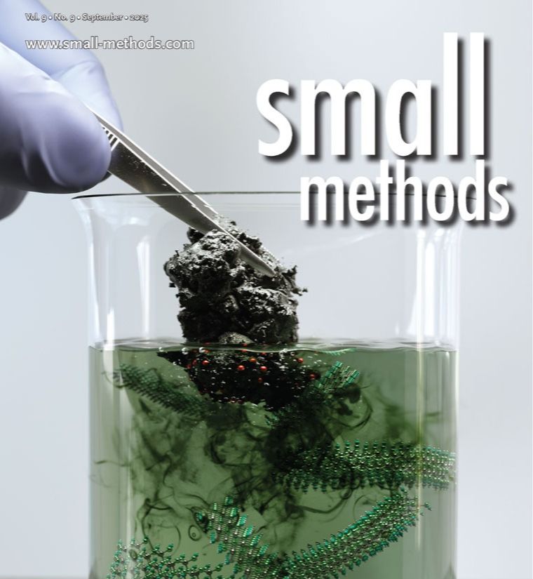 Design Strategies and Advanced Methods for Cathode Engineering in Aqueous Zinc-Iodine Batteries