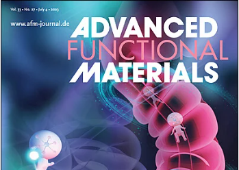 Spherical Lithium Deposition Enables High Li-Utilization Rate, Low Negative/Positive Ratio, and High Energy Density in Lithium Metal Batteries