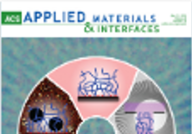 Nitrogen and Sulfur Codoped Reduced Graphene Oxide as a General Platform for Rapid and Sensitive Fluorescent Detection of Biological Species.