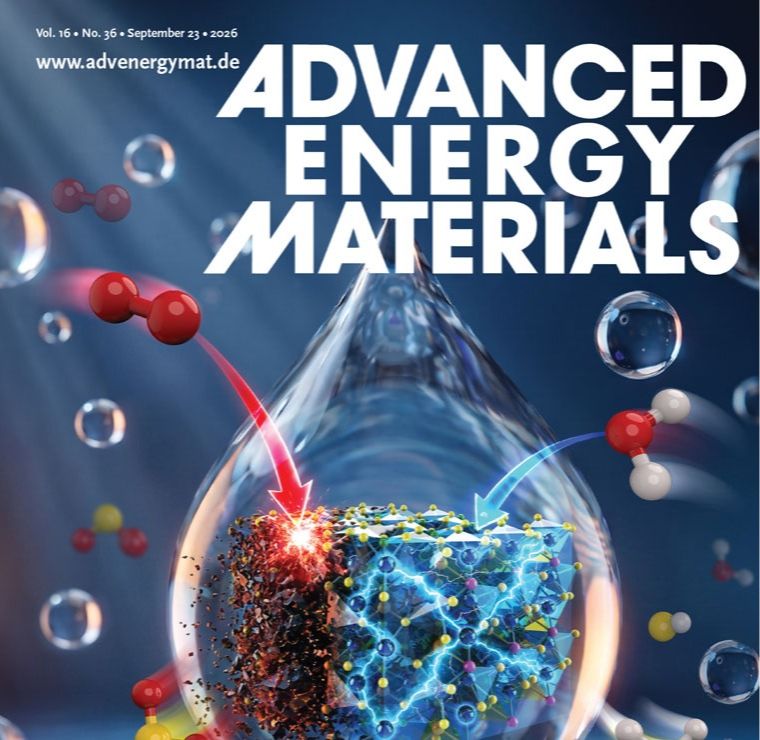 Anion-Transferring Electrolyte Enables In Situ Construction of Uniform LiF-Rich Interphases for Long-Cycling Lithium–Sulfur Batteries
