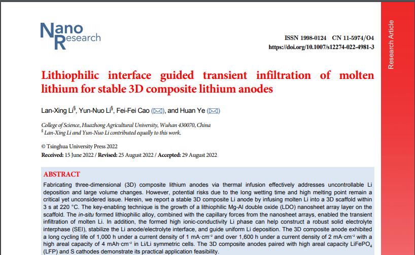 Lithiophilic interface guided transient infiltration of molten lithium for stable 3D composite lithium anodes