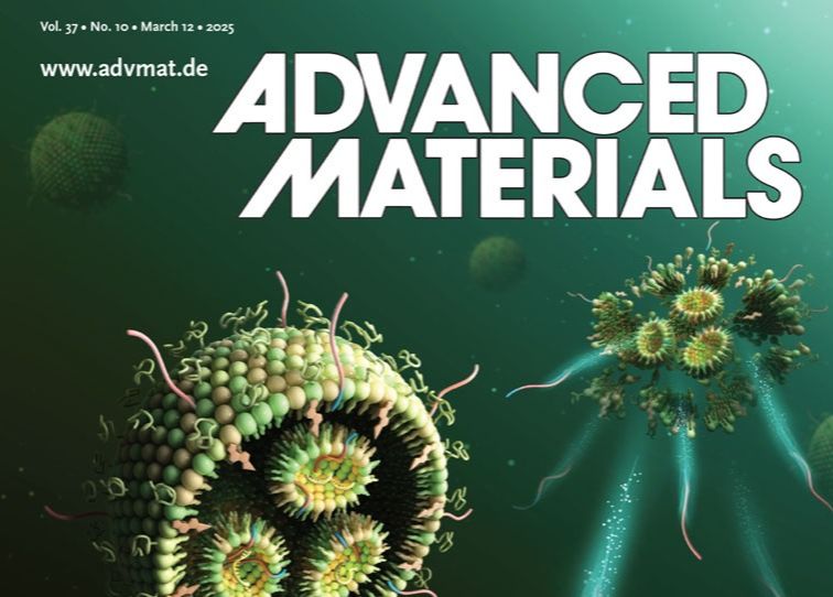 Zinc Single-Atom Catalysts Encapsulated in Hierarchical Porous Bio-Carbon Synergistically Enhances Fast Iodine Conversion and Efficient Polyiodide Confinement for Zn-I2 Batteries