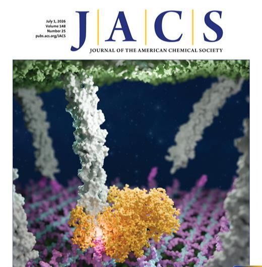 Ultrafast Hopping Transfer Enables High-Anion Conduction