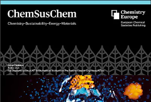 Multifunctional Interlayer Engineering for Silkworm Excrement-Derived Porous Carbon Enabling High-Energy Lithium Sulfur Batteries