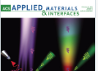 Improved Electrochemical Performance of LiFePO4@N-Doped Carbon Nanocomposites Using Polybenzoxazine as Nitrogen and Carbon Sources.